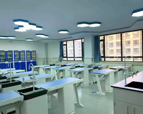 數(shù)字化探究實(shí)驗室